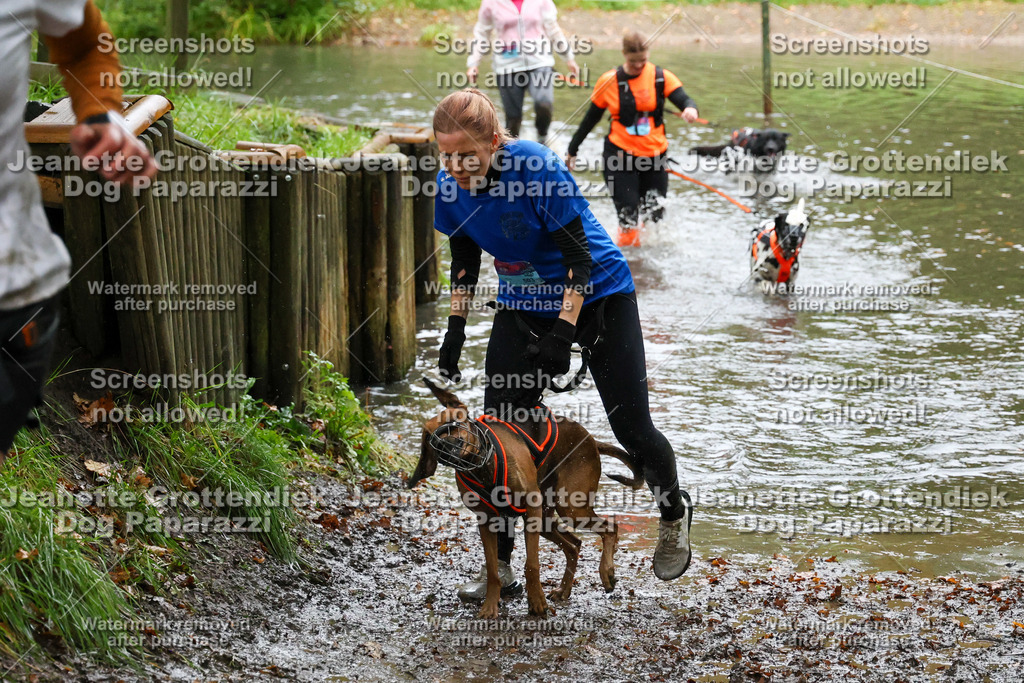 Dog Paparazzi -  SD1026-8206 | Dog Paparazzi Jeanette Grottendiek Fotografie & Videografie - Realisiert mit Pictrs.com