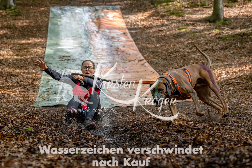 1148_ZZ92472-Bearbeitet | kk-dogfotos