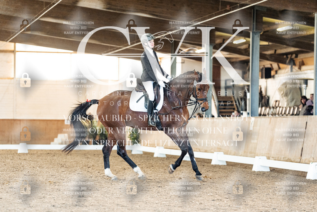 CK908073 | Turnierfotografie Pferdefotografie Trier Rheinland-Pfalz Pferdesport Reitsport Tierfotografie Sportfotografie Pferdevideo Pferdevideografie Equestrianvideography equestrianphotography  - Realisiert mit Pictrs.com