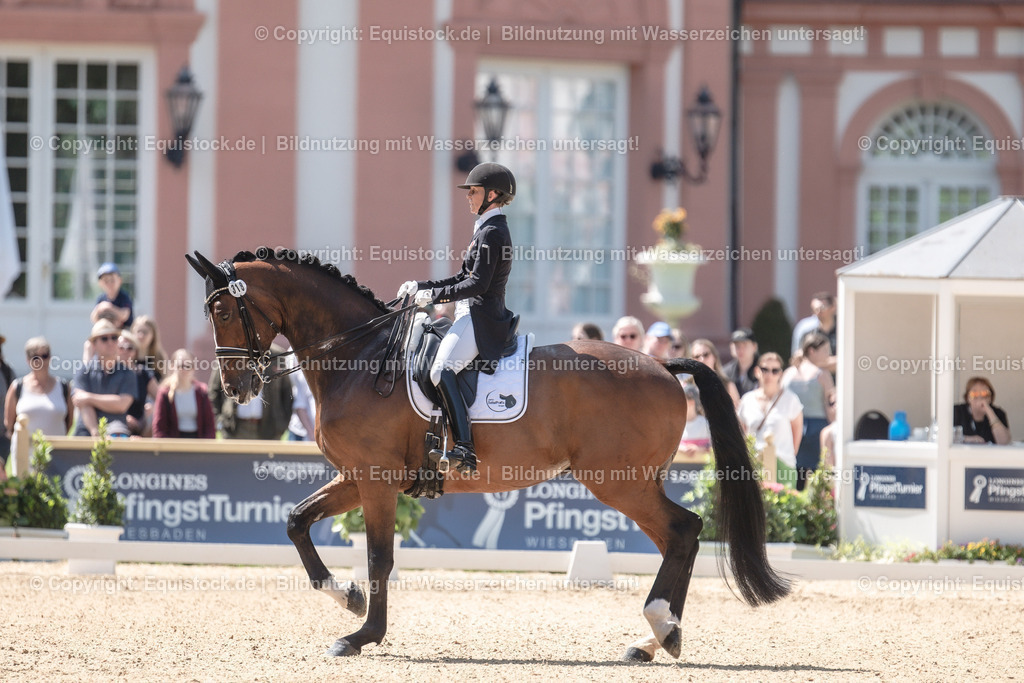 20230528_03_GP-Special-Tour_0146 | equistock
