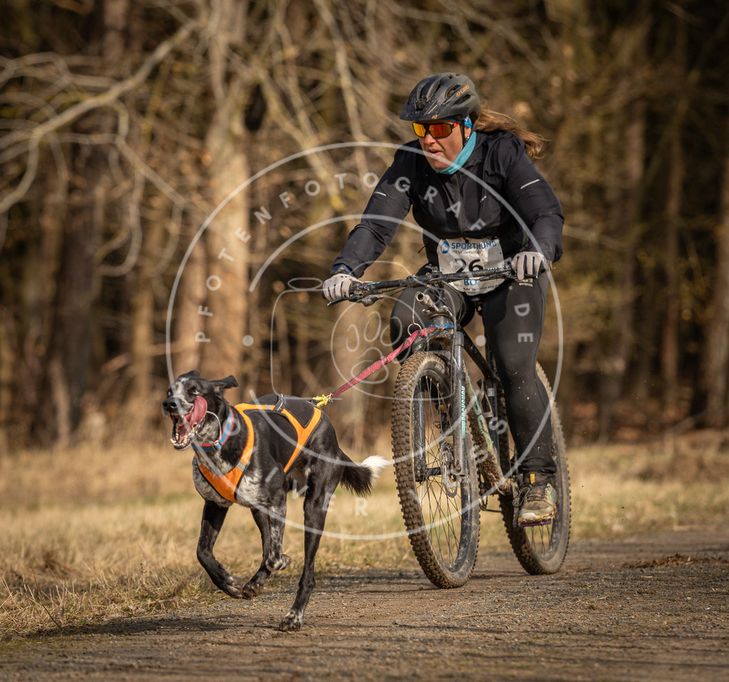 DV3A4307 | Hundefotografie, Tierfotograf, Pfotenfotografie, Fotoshooting Hund, Hunde Portrait, Hundesport, Hundeportraits, Heideshooting, Hunde, Sportfotograf, Hundefotograf, Turnierhundsport, THS,  - Realisiert mit Pictrs.com