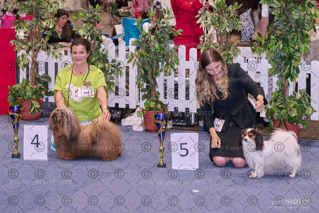 202406_ÖKV-IHA-Tulln24_NZ9_7882 | proPHOTO - Realisiert mit Pictrs.com