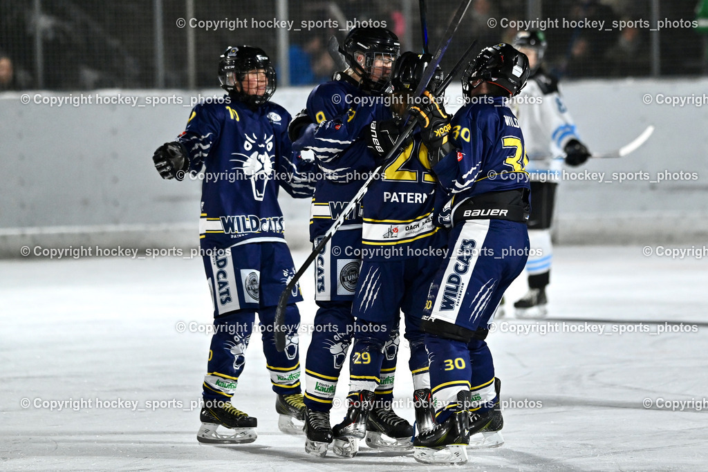 Wildcats Paternion vs. Unicorns Steindorf | #30 Windbichler Barbara WILDCATS PATERNION, #10 Domenig Verena WILDCATS PATERNION, Jubel Wildcats Paternion Mannschaft, #29 Brunner Tatjana WILDCATS PATERNION, #9 Neumann Magdalena WILDCATS PATERNION, Wildcats Paternion vs. Unicorns Steindorf, Wildcats Paternion vs. Unicorns Steindorf am 02.01.2026 in Paternion (Eislaufplatz Paternion), Austria, (Photo by Bernd Stefan)