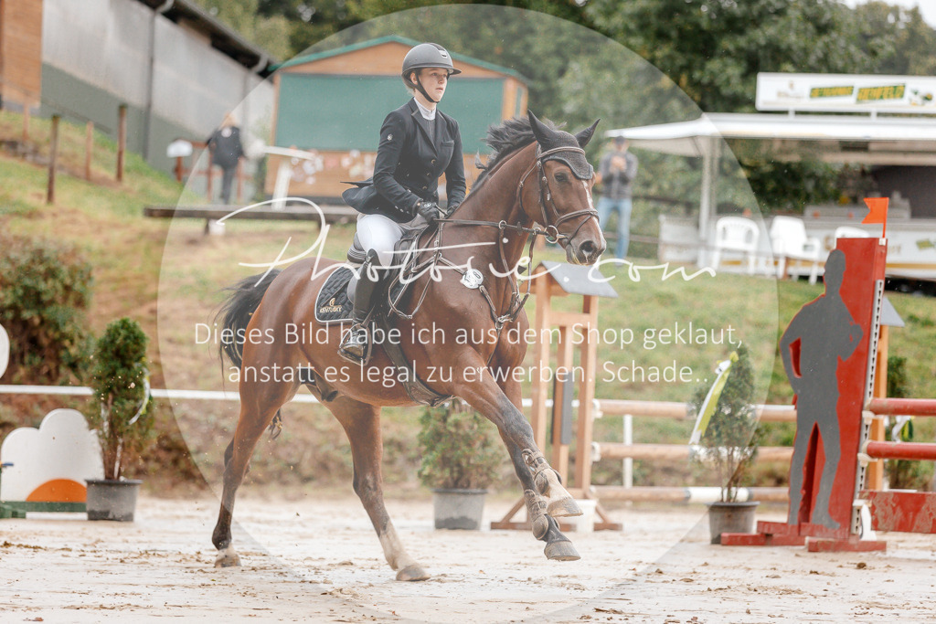 3I6A5562 | Stimmungsvolle Portraits und Reitsportfotografie im Ruhrgebiet und im Münsterland.

Pferdefotografie, Hundefotografie, Tierfotografie, Reportagen, Portraits von Tier und Mensch, Turnierfotografie in Bochum, Recklinghausen, Marl, Haltern am See, Dülmen.. - Realisiert mit Pictrs.com