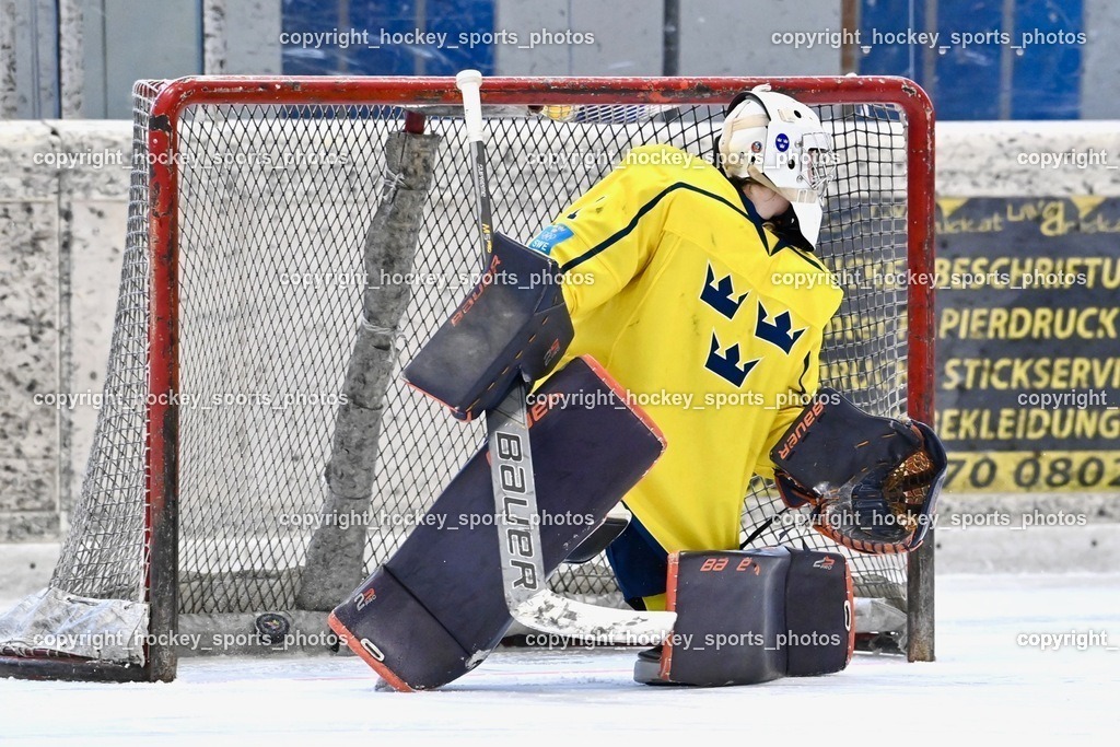 BST_5487 | hockey sports photos, Pressefotos, Sportfotos, hockey247, win 2day icehockeyleague, Handball Austria, Floorball Austria, ÖVV, Kärntner Eishockeyverband, KEHV, KFV, Kärntner Fussballverband, Österreichischer Volleyballverband, Alps Hockey League, ÖFB, 