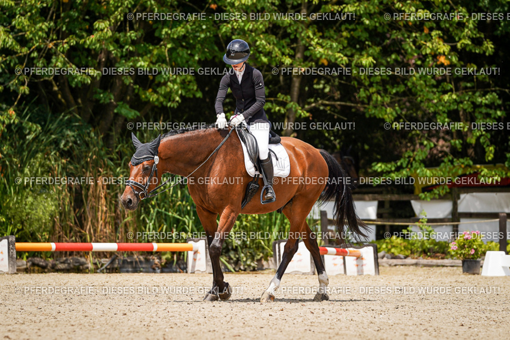 DSC02543 | Pferdegrafie