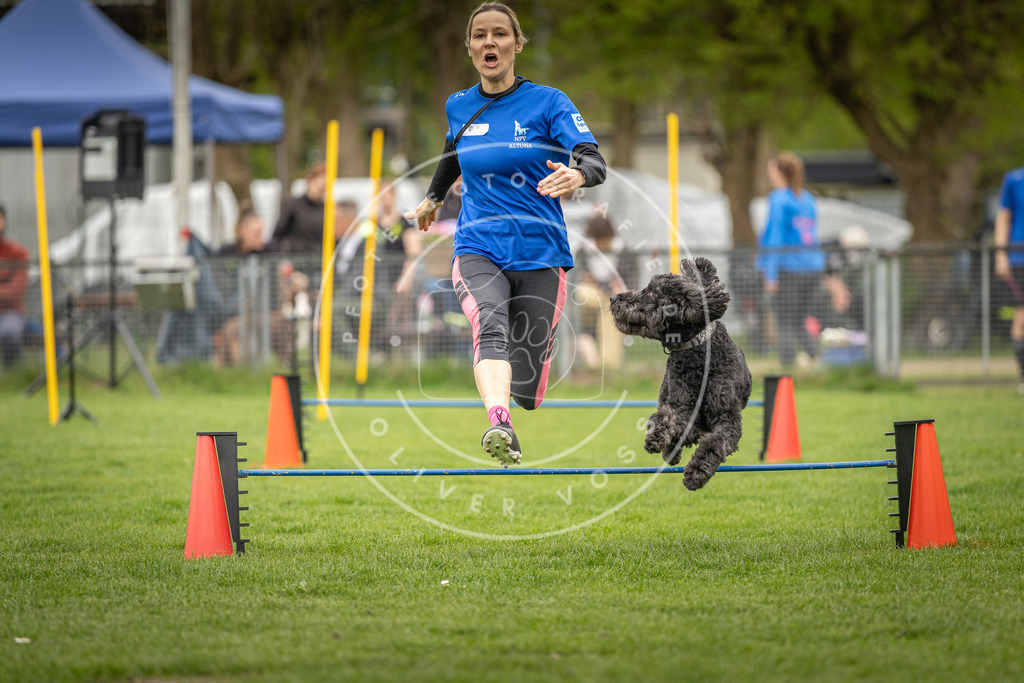 Pfotenfotografie_DV3A0814 | Hundefotografie, Tierfotograf, Pfotenfotografie, Fotoshooting Hund, Hunde Portrait, Hundesport, Hundeportraits, Heideshooting, Hunde, Sportfotograf, Hundefotograf, Turnierhundsport, THS,  - Realisiert mit Pictrs.com