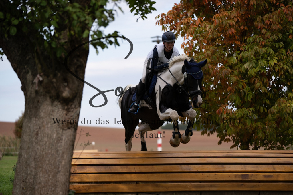 A7V03932 | Pferdefotograf