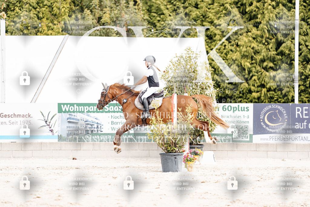 CK906559 | Turnierfotografie Pferdefotografie Trier Rheinland-Pfalz Pferdesport Reitsport Tierfotografie Sportfotografie Pferdevideo Pferdevideografie Equestrianvideography equestrianphotography  - Realisiert mit Pictrs.com