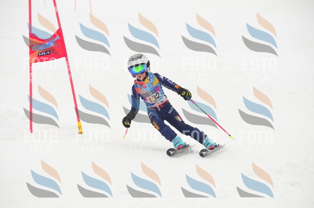 C1640 | holidayphoto