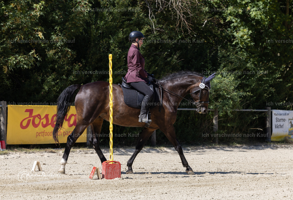 EJ3A4984 | working equitationturnier fotograf videograf stoibphotography marixx film working equitation deutschland reitsport turnierfotografie eventfotografie equestrian events