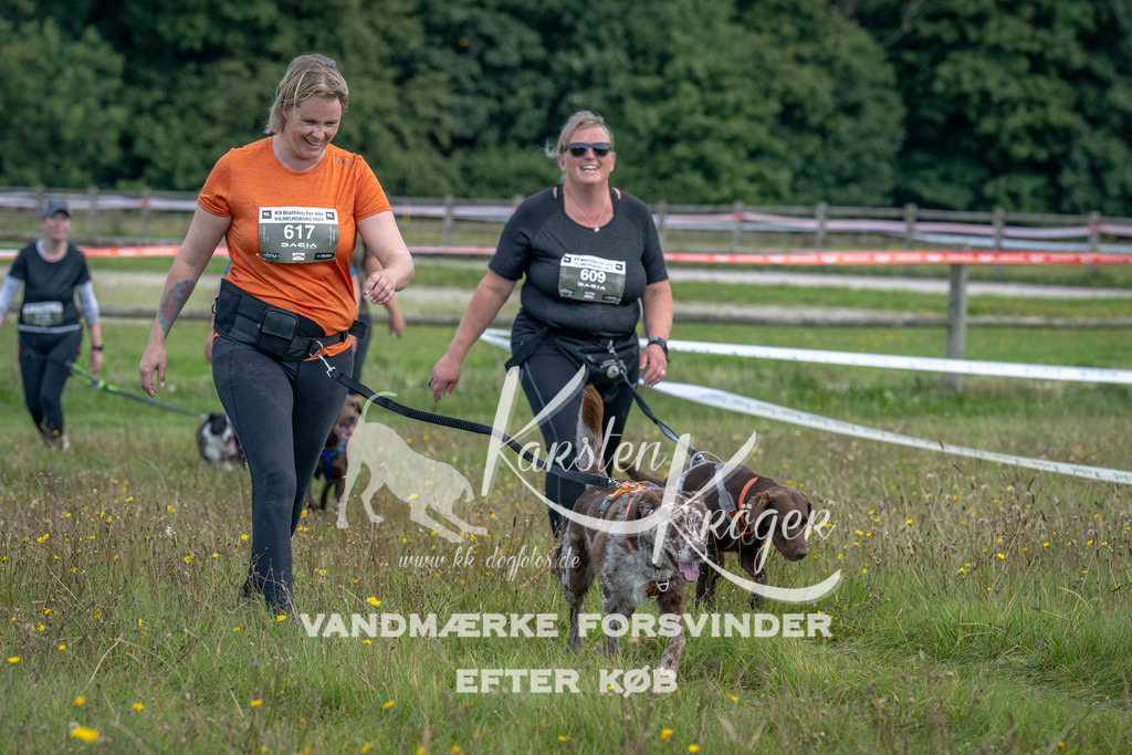 1303_ZZ90443 | kk-dogfotos