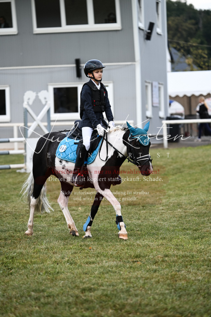DSC_5487 | Pferde- und Turnierfotografie in Westsachsen. Pferdeportraits, Auftragszeichnungen und intuitive Kunst.