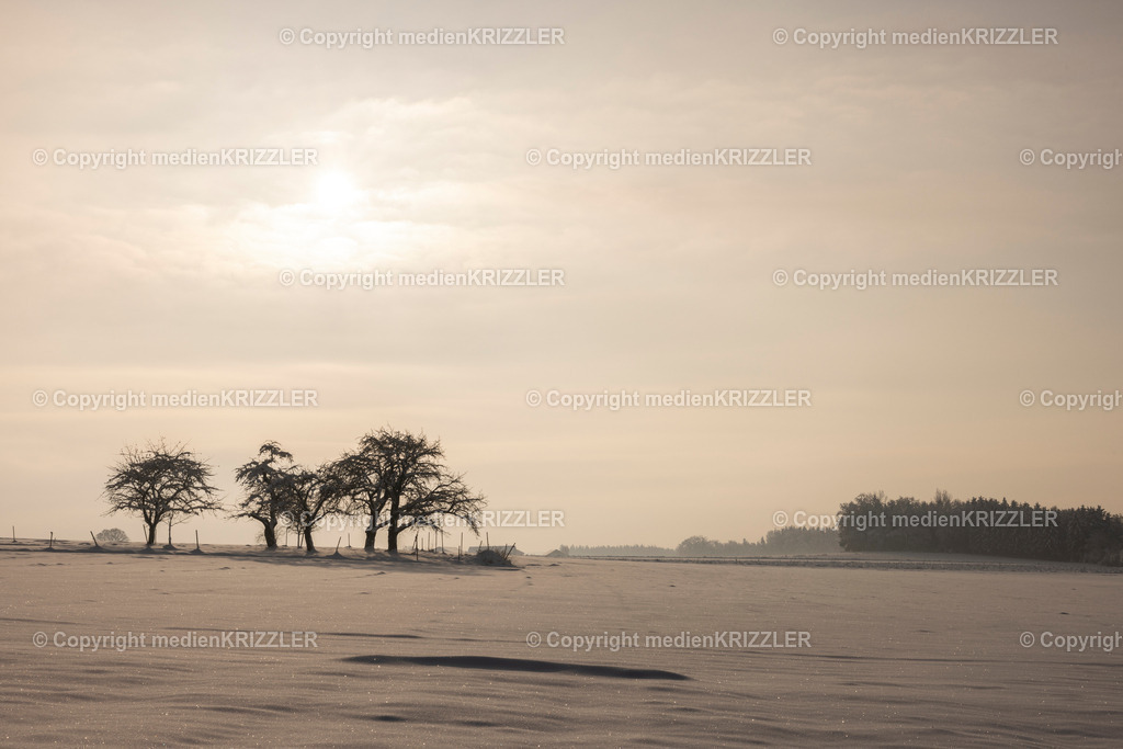 _J3A9596 | medienkrizzler - Realisiert mit Pictrs.com