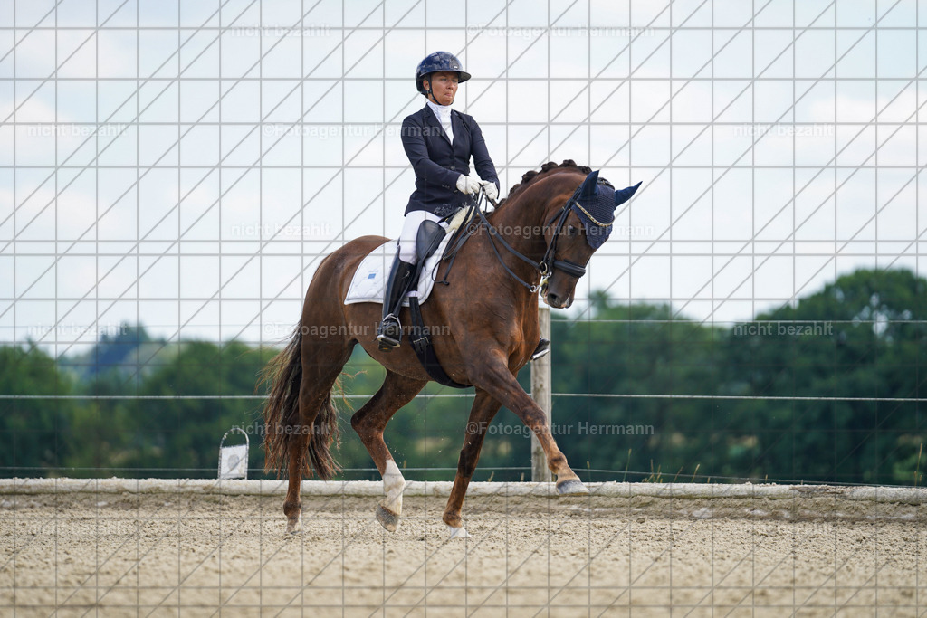 20230826-FAH05802 | Forstinning, 2023, Dressurturnier, Turniersportbilder, Turnierfotografen Bayern, Fotoagentur Herrmann, Reitsportfotografie, Turnierbilder