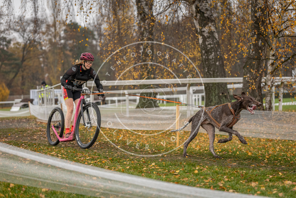 CaniXpix_DV3A8335 | Hundefotografie, Tierfotograf, Pfotenfotografie, Fotoshooting Hund, Hunde Portrait, Hundesport, Hundeportraits, Heideshooting, Hunde, Sportfotograf, Hundefotograf, Turnierhundsport, THS,  - Realisiert mit Pictrs.com