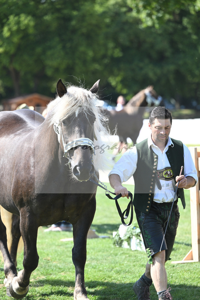 Kat-Nr. 16 Bernina_Bayrhof_20230240 | hf-fotografie - Realisiert mit Pictrs.com