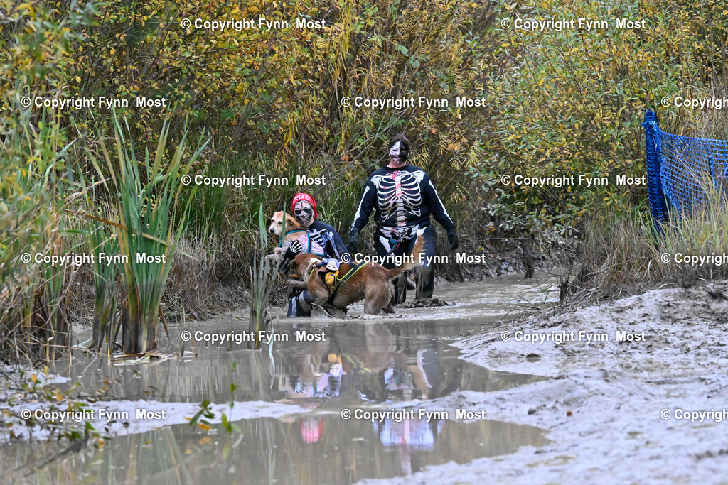 DSC_9301 | Hallo und herzlich Willkommen auf meiner Shop-Seite Fynn Most.

Ich wünsche Dir viel Spaß beim stöbern durch die Bilder, wenn Du Fragen hast oder Bilder vermisst, kannst du mir gerne eine Nachricht schreiben. - Realisiert mit Pictrs.com