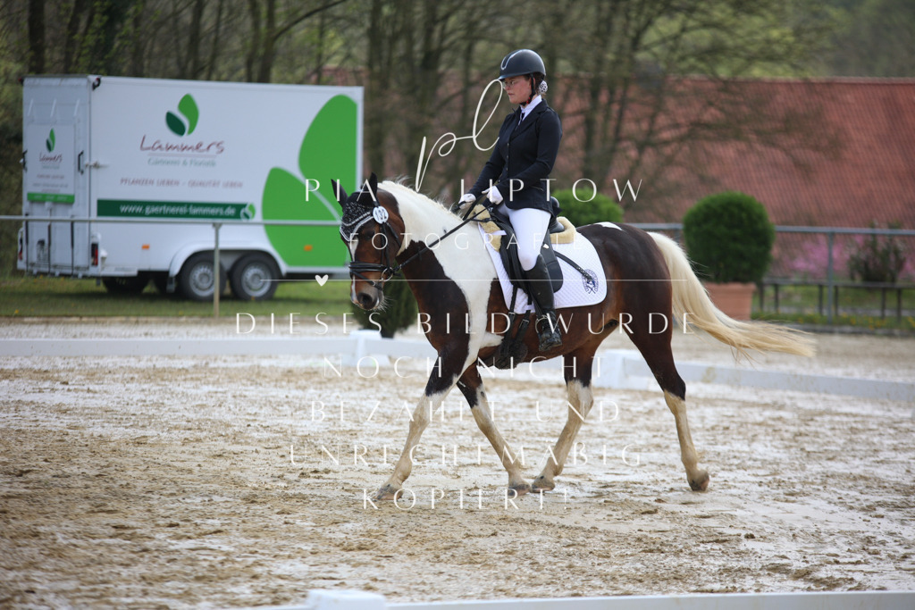 IMGT3556 | pl-fotografie