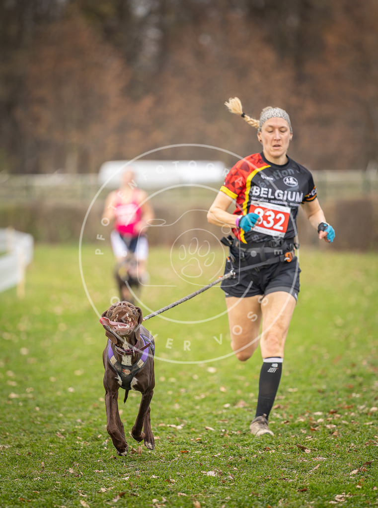 CaniXpix_DV3A6436 | Hundefotografie, Tierfotograf, Pfotenfotografie, Fotoshooting Hund, Hunde Portrait, Hundesport, Hundeportraits, Heideshooting, Hunde, Sportfotograf, Hundefotograf, Turnierhundsport, THS,  - Realisiert mit Pictrs.com