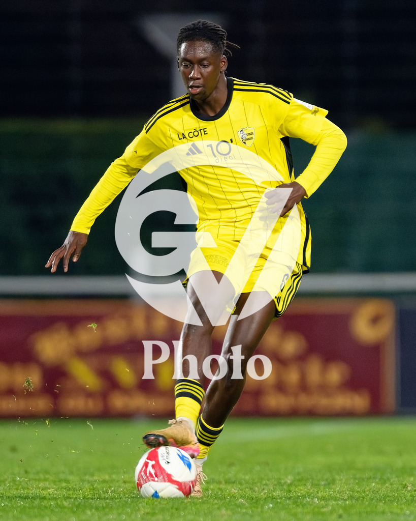 dieci Challenge League - FC Stade Nyonnais v Etoile Carouge FC |  during the dieci Challenge League match between FC Stade Nyonnais and Etoile Carouge FC at Centre sportif de Colovray in Nyon, Switzerland