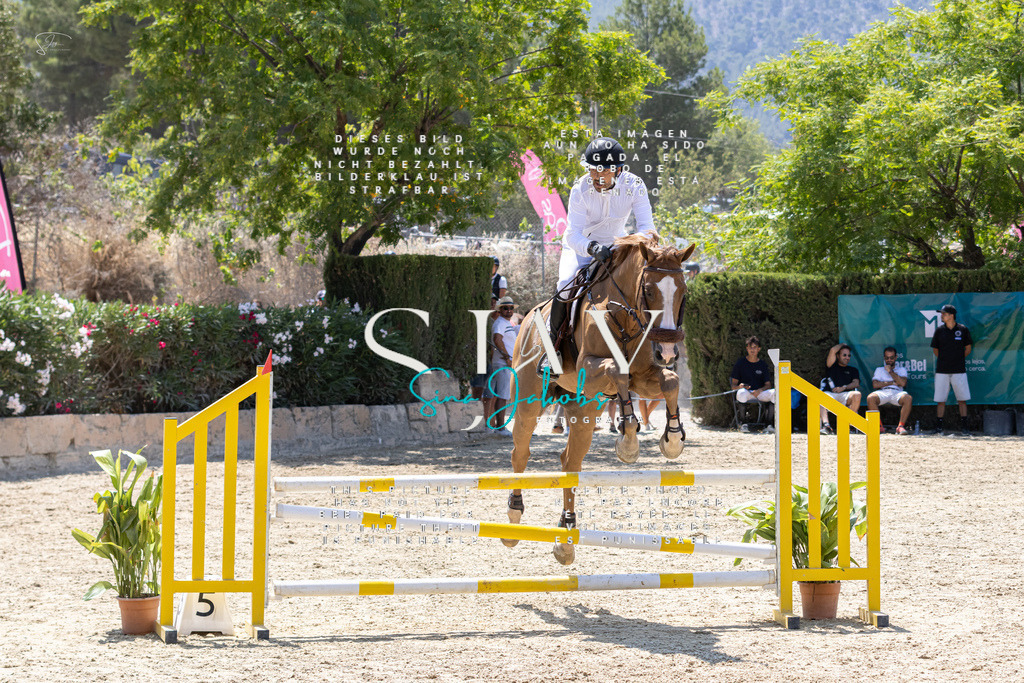 IMG_0788 | s-jay-photography - Realisiert mit Pictrs.com