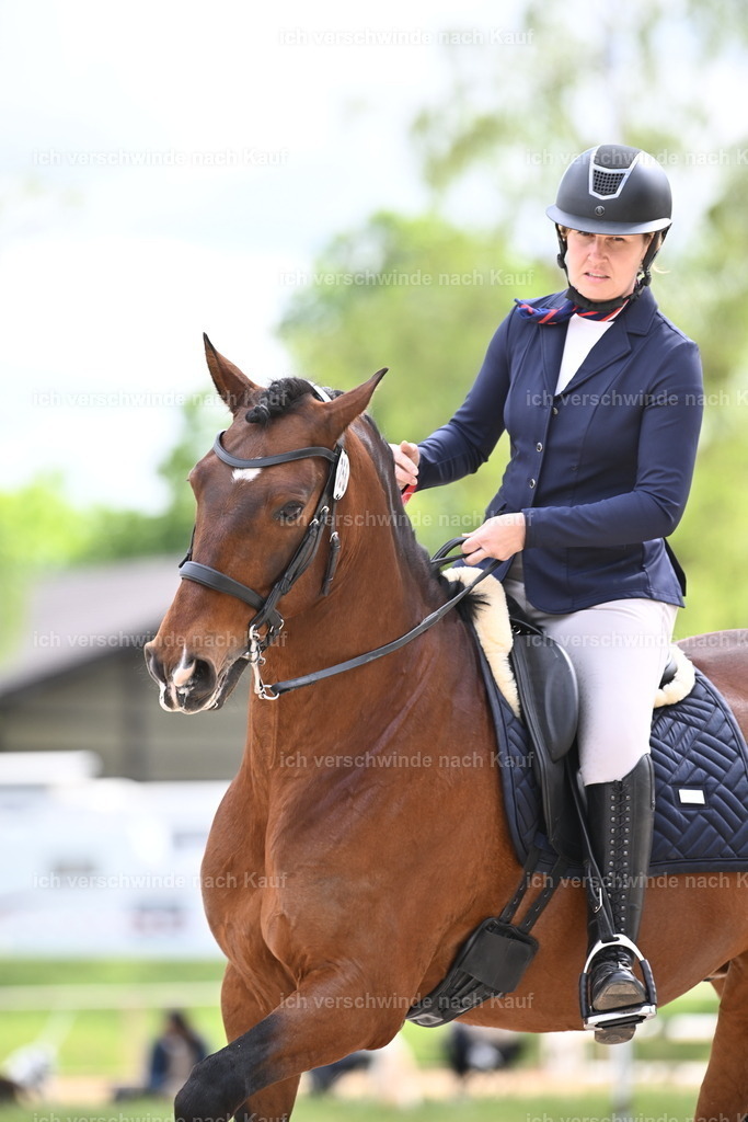 PI26_ST_Sara_Landvogt226_3950.JPG | working equitationturnier fotograf videograf stoibphotography marixx film working equitation deutschland reitsport turnierfotografie eventfotografie equestrian events