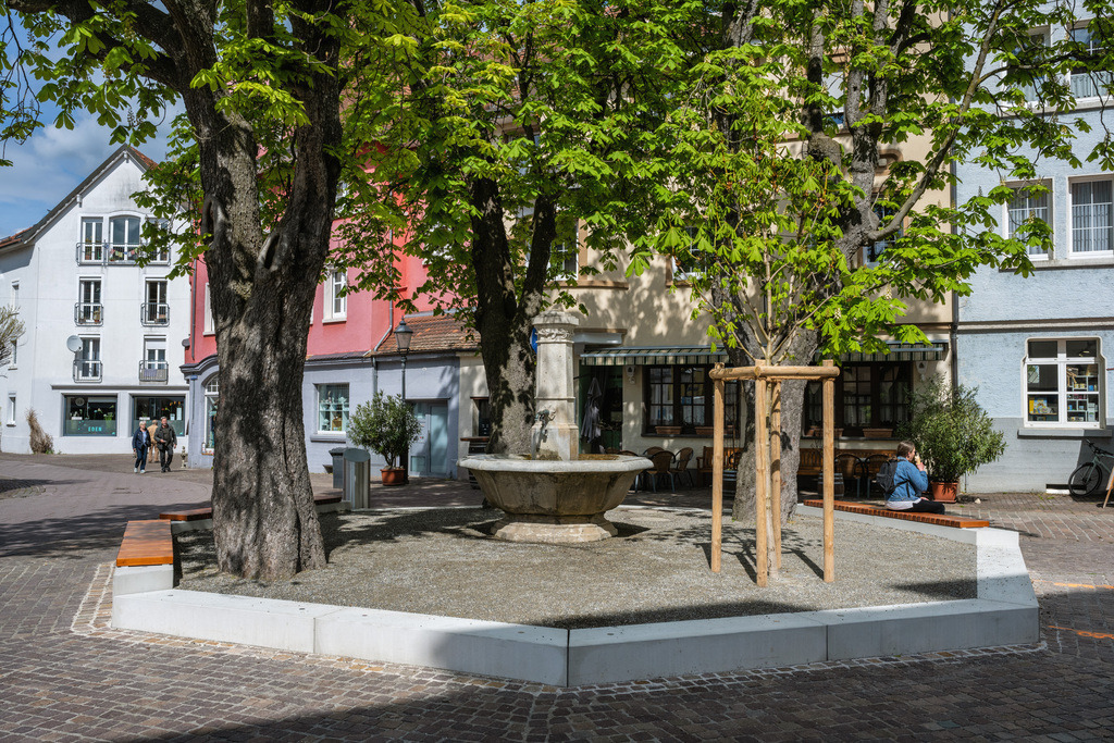 Radolfzellbilder_0358 | Der Forsteibrunnen - Realisiert mit Pictrs.com