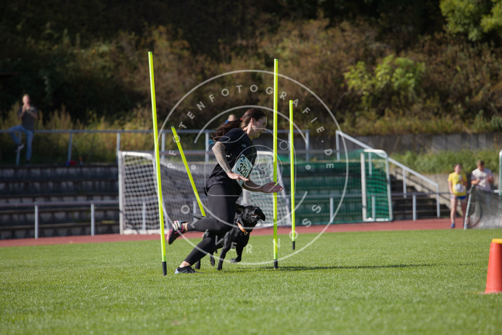 0L8A8258 | Hundefotografie, Tierfotograf, Pfotenfotografie, Fotoshooting Hund, Hunde Portrait, Hundesport, Hundeportraits, Heideshooting, Hunde, Sportfotograf, Hundefotograf, Turnierhundsport, THS,  - Realisiert mit Pictrs.com