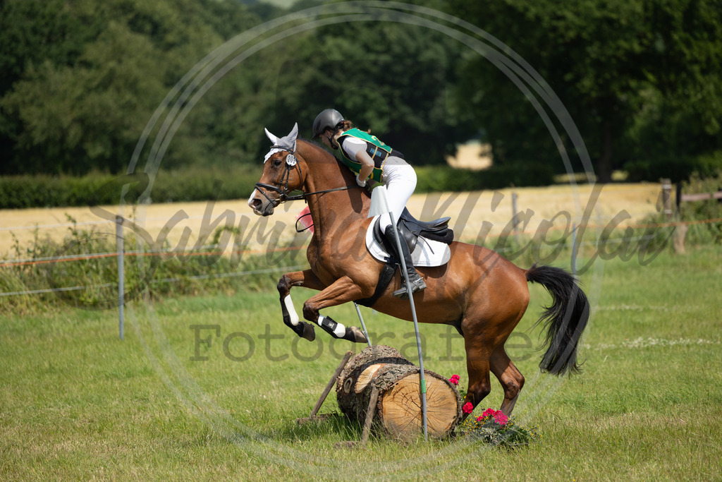 994A0750 | sabrinanicolaifotografie - Realisiert mit Pictrs.com