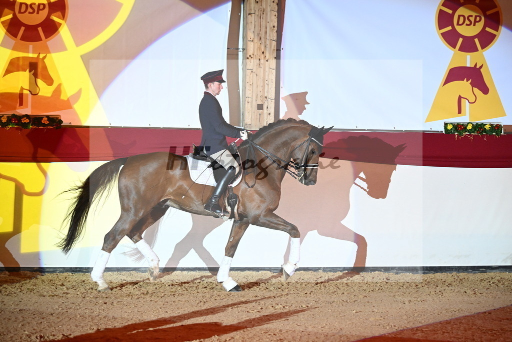 Don Royal_2241776 | hf-fotografie - Realisiert mit Pictrs.com