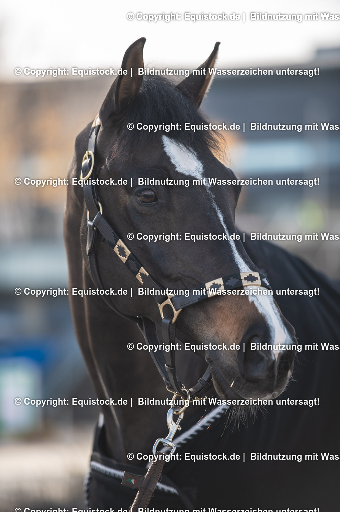 20251113_Raphael-Netz_TOMSPIC_0004 | Foto: Thomas Hartig