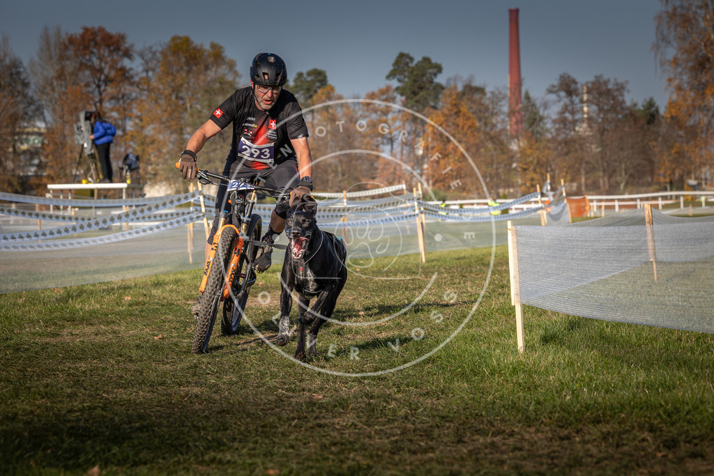CaniXpix_0L8A6925 | Hundefotografie, Tierfotograf, Pfotenfotografie, Fotoshooting Hund, Hunde Portrait, Hundesport, Hundeportraits, Heideshooting, Hunde, Sportfotograf, Hundefotograf, Turnierhundsport, THS,  - Realisiert mit Pictrs.com