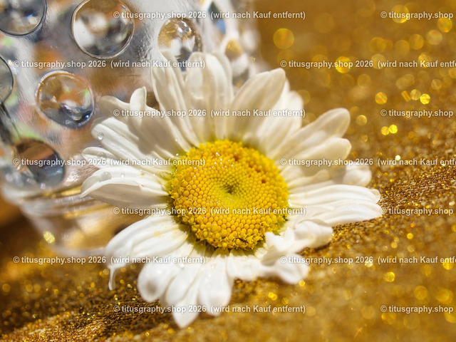 titusgraphy_P5218795-vz-ln | titusgraphy-shop: Geschenkideen mit Qualitätsfotos. titusgraphy-shop: gift ideas with quality photos. titusgraphy-shop: idées cadeaux avec photos de qualité.  - Realisiert mit Pictrs.com