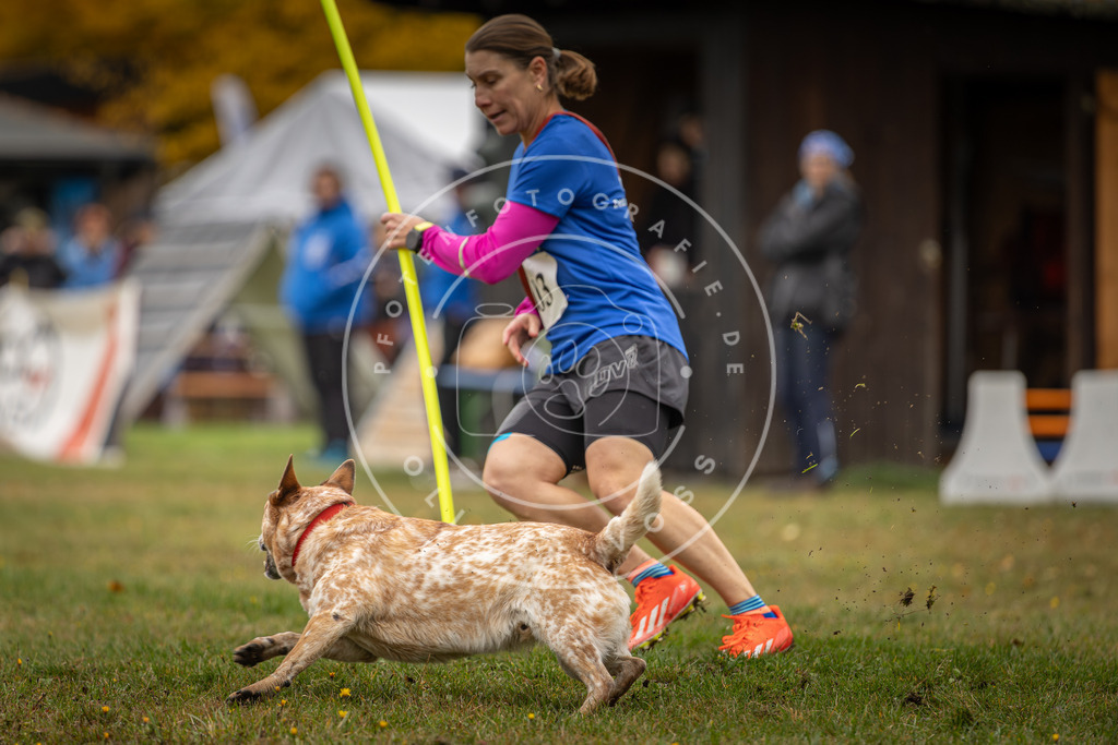 Pfotenfotografie_DV3A1669 | Hundefotografie, Tierfotograf, Pfotenfotografie, Fotoshooting Hund, Hunde Portrait, Hundesport, Hundeportraits, Heideshooting, Hunde, Sportfotograf, Hundefotograf, Turnierhundsport, THS,  - Realisiert mit Pictrs.com