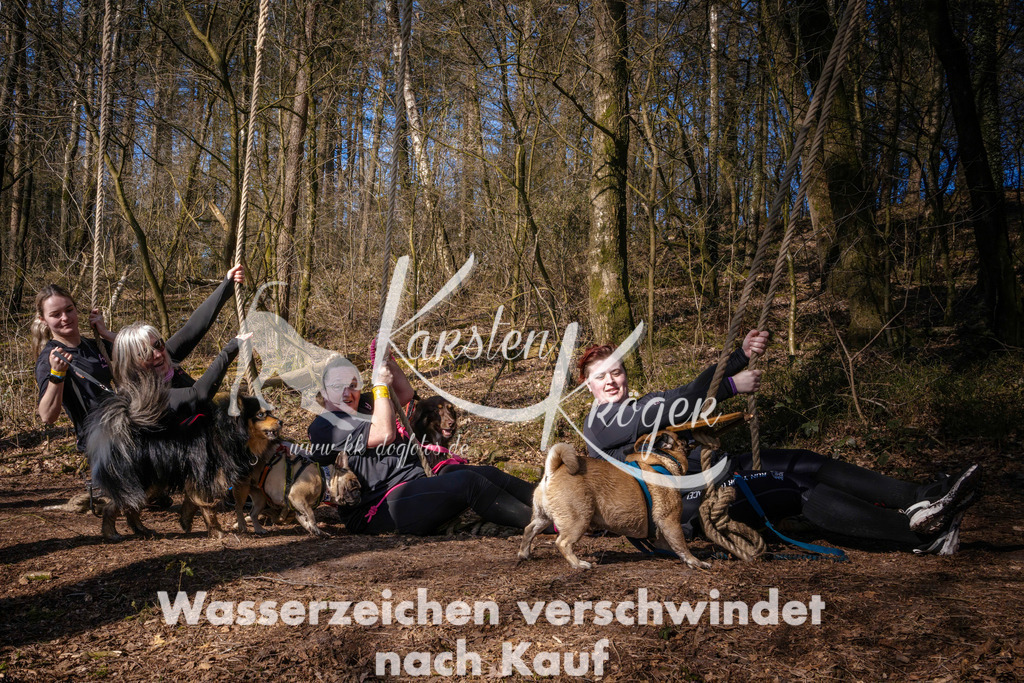 0953_ZZ90777 | kk-dogfotos