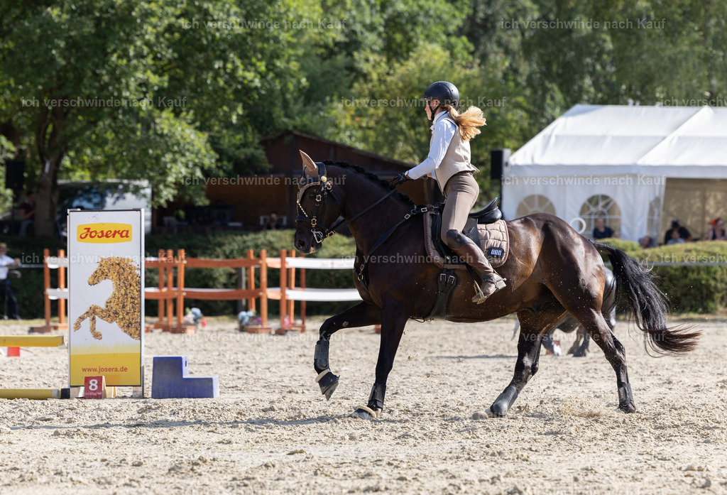 WS_SPEED_19_KerstinBernhardt-9 | working equitationturnier fotograf videograf stoibphotography marixx film working equitation deutschland reitsport turnierfotografie eventfotografie equestrian events