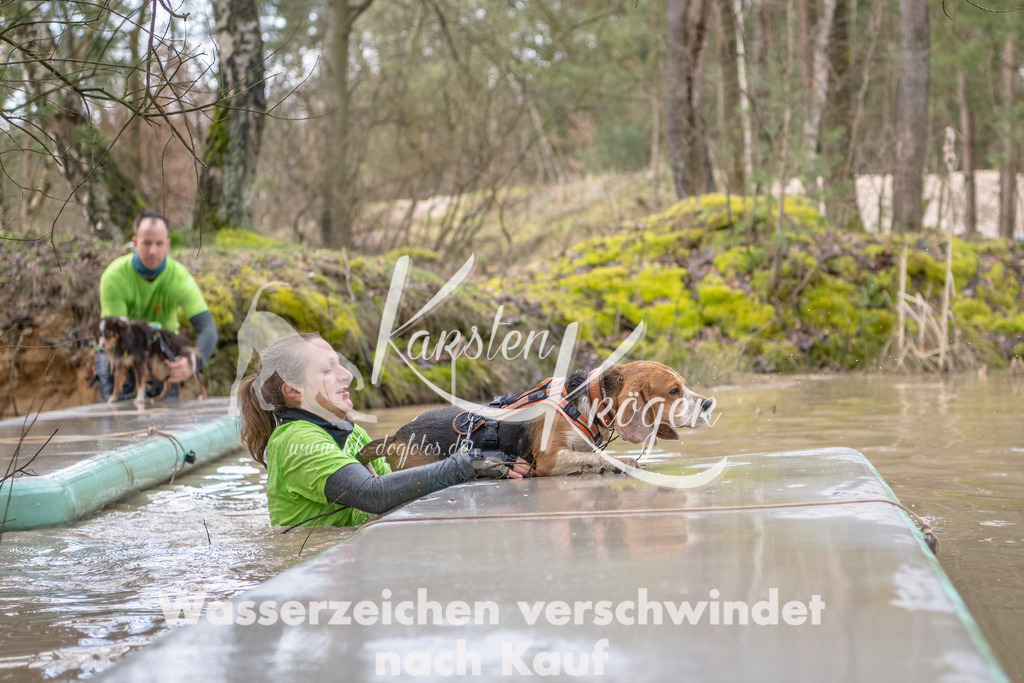 0954_ZZ91703-Bearbeitet | kk-dogfotos