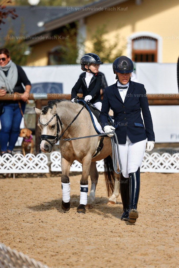 01--Ponyführzügel -StoibPH-6652 | working equitationturnier fotograf videograf stoibphotography marixx film working equitation deutschland reitsport turnierfotografie eventfotografie equestrian events