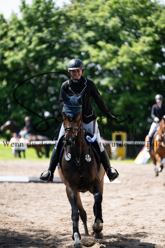 A7V04369 | Pferdefotograf