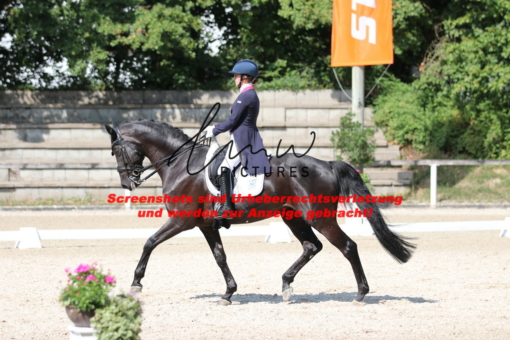 IMG_9446 | lmwpictures - Realisiert mit Pictrs.com