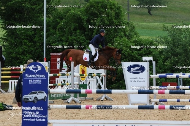 OHT2291 | Fotografie, Tiere, Hunde, Katzen, Pferde, Sportfotografie, Fotosession, Tierfotografie, Turnierfotografie, Fotografin, Fotograf - Realisiert mit Pictrs.com