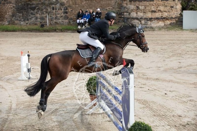 2B4A2064 | pixelfaenger - Realisiert mit Pictrs.com