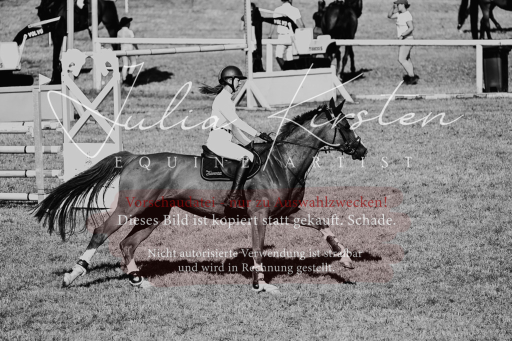 DSC_2297 | Pferde- und Turnierfotografie in Westsachsen. Pferdeportraits, Auftragszeichnungen und intuitive Kunst.