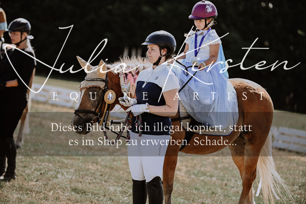 DSC_8947 | Pferde- und Turnierfotografie in Westsachsen. Pferdeportraits, Auftragszeichnungen und intuitive Kunst.