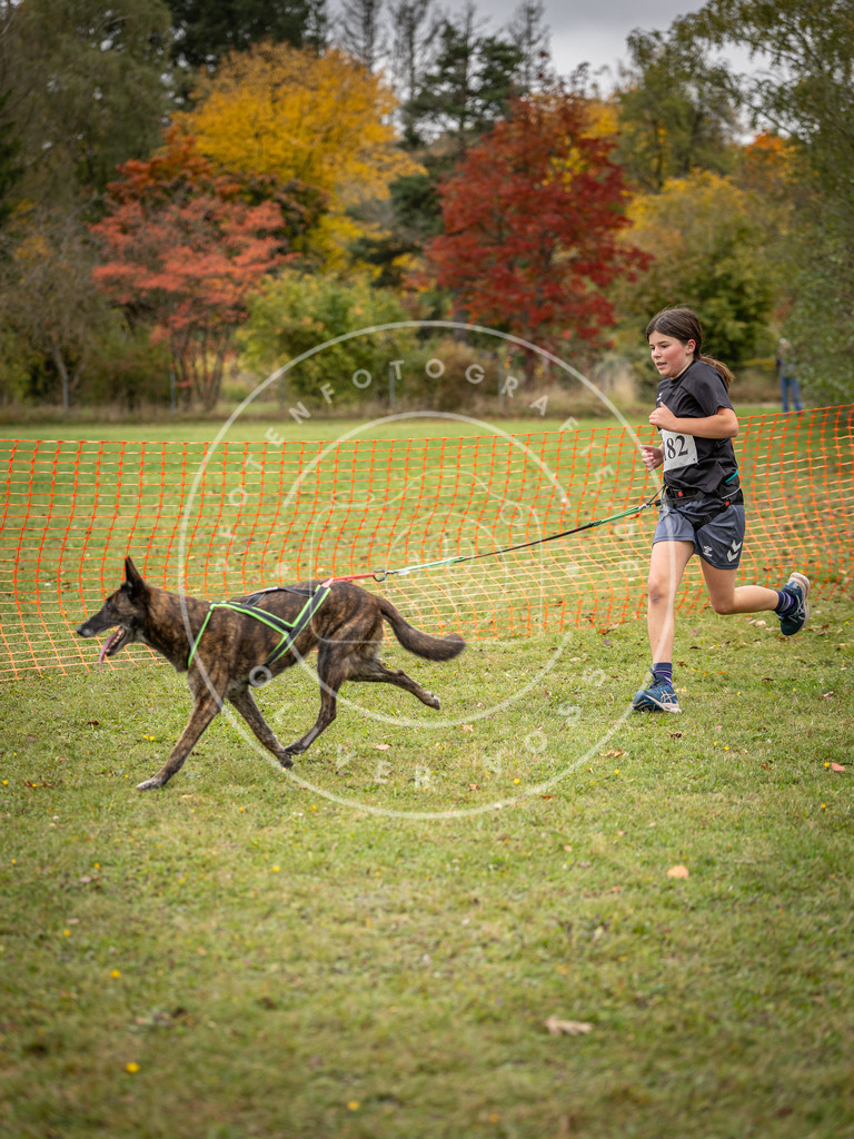Pfotenfotografie_DV3A3722 | Hundefotografie, Tierfotograf, Pfotenfotografie, Fotoshooting Hund, Hunde Portrait, Hundesport, Hundeportraits, Heideshooting, Hunde, Sportfotograf, Hundefotograf, Turnierhundsport, THS,  - Realisiert mit Pictrs.com
