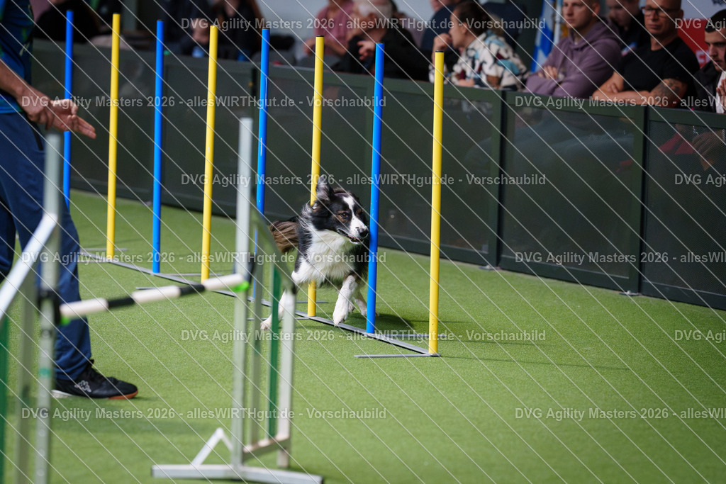 allesWIRTHgut_Tierfotografie-DVG_Agility_Masters_2026-09_53-7R502967 | Professionelle Tierfotografie in Mönchengladbach von Daniel Wirth (allesWIRTHgut). Liebevolle & natürliche Bilder von Hunden & Katzen für unvergessliche Erinnerungen.