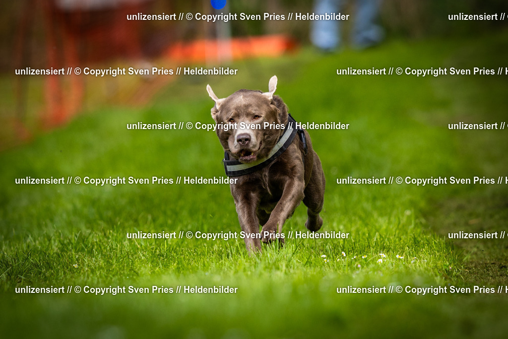 Sven Pries | 2025-04-13 - Hunderennen Baden-Baden - Realisiert mit Pictrs.com