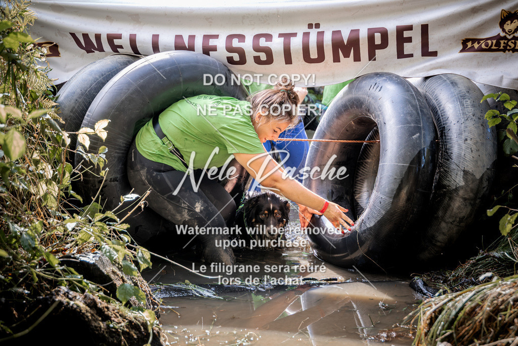 nelerasche_Hunsrück2026_Sa1400-1500_57 | nelerasche