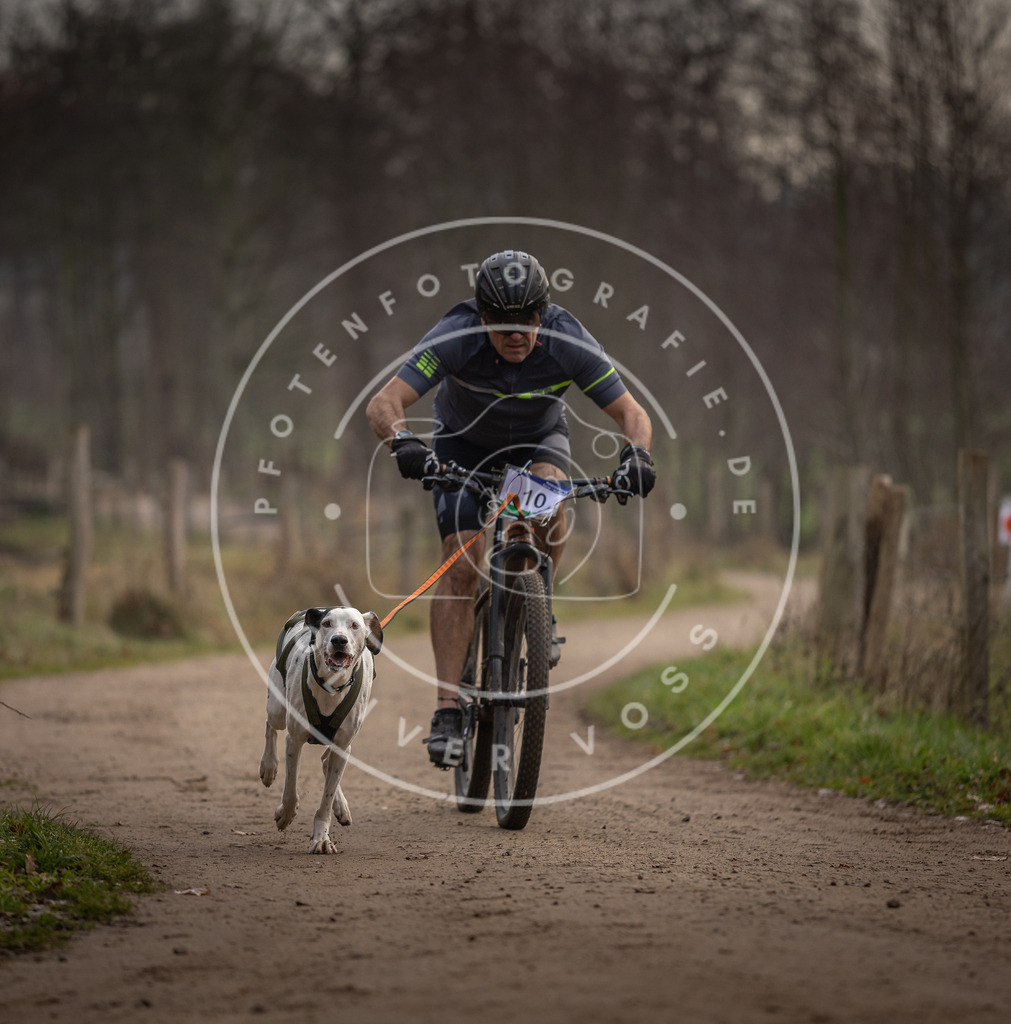 Pfotenfotografie_DV3A1725 | Hundefotografie, Tierfotograf, Pfotenfotografie, Fotoshooting Hund, Hunde Portrait, Hundesport, Hundeportraits, Heideshooting, Hunde, Sportfotograf, Hundefotograf, Turnierhundsport, THS,  - Realisiert mit Pictrs.com